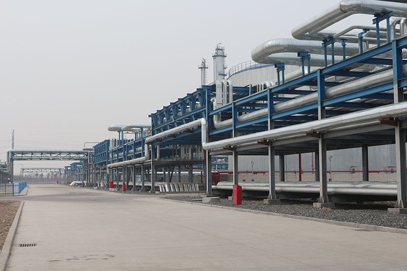 蜜桃欧美视频免费直播检测